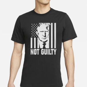 Trump Not Guilty Flag T-Shirts