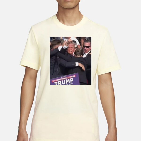 Donald Trump T-Shirt 2024 - T-Shirt Trump Never give up2