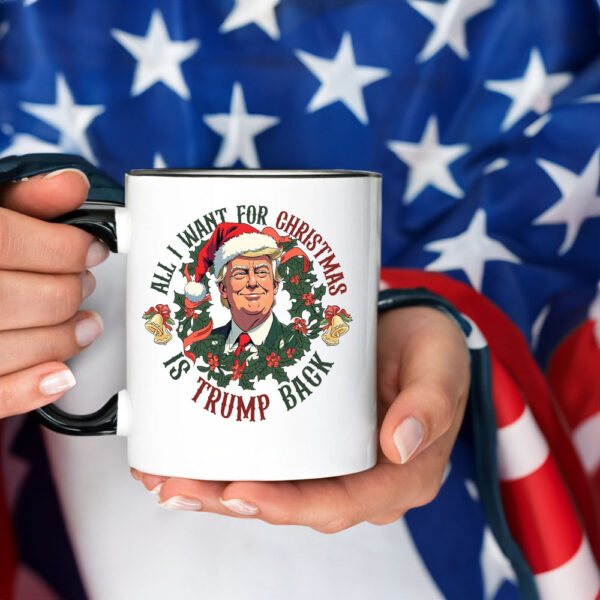 All I Want For Christmas Is Trump Back ,Christmas Trump Mug2