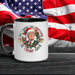 All I Want For Christmas Is Trump Back ,Christmas Trump Mug5