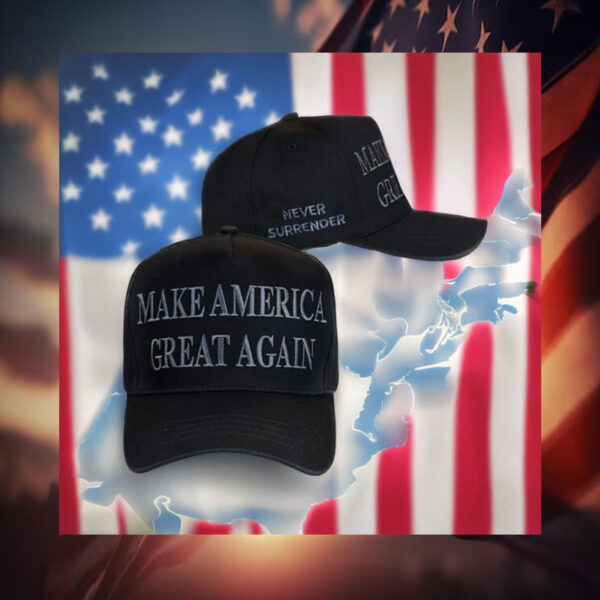 Elon Musk MAGA Hat 20241