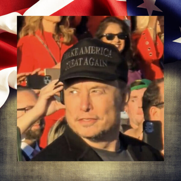 Elon Musk MAGA Hat 202433