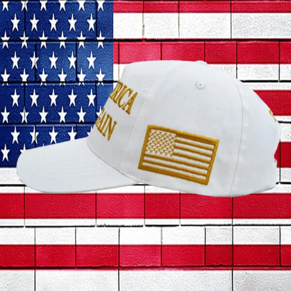 President Trump 45 - 47 Hat...2024...Make America Great Again1