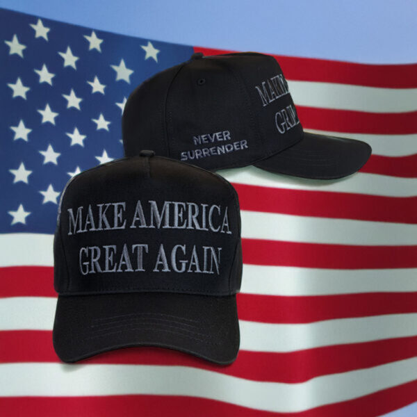 Trump Dark MAGA Hat 20243