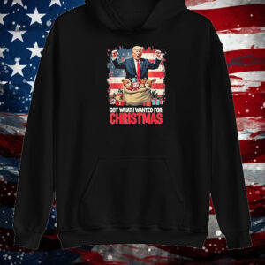 Trump Won 2024 President Got What I Wanted For Christmas Shirt ,Sweatshirt ,Hoodie